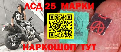 ешки Ставрополь