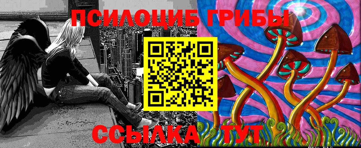 Галлюциногенные грибы Psilocybe Гатчина