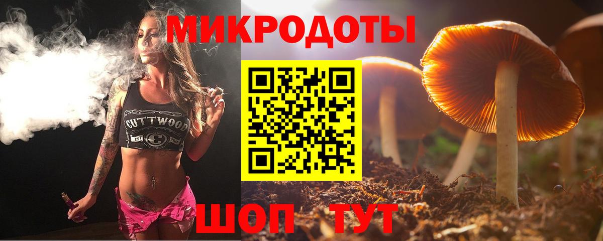 Гатчина  Псилоцибиновые грибы ЛСД  Вход с VPN 