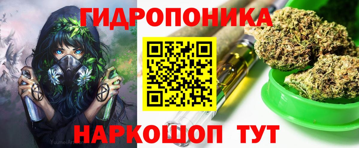 Гатчина  Марихуана конопля  Вход с VPN  Марихуана планчик 